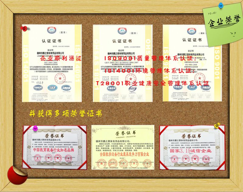 馨赢 牌 PZT-6063 室外健身器材 健身路径 腰背按摩训练器(图2) 58pic_523f2d8f9d4f1