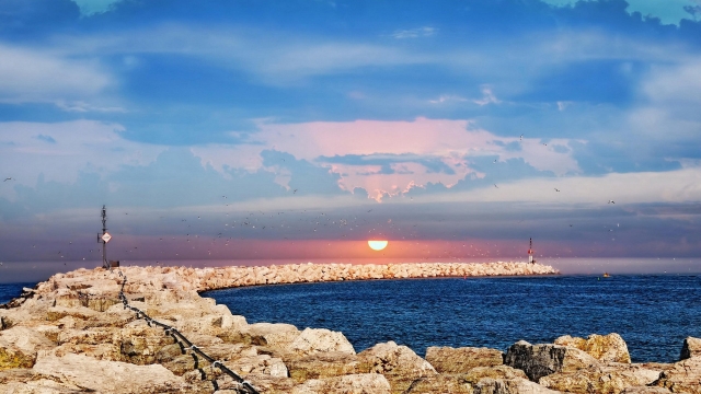 博鱼综合体育官方网站入口我想种棕色的乒乓球台子